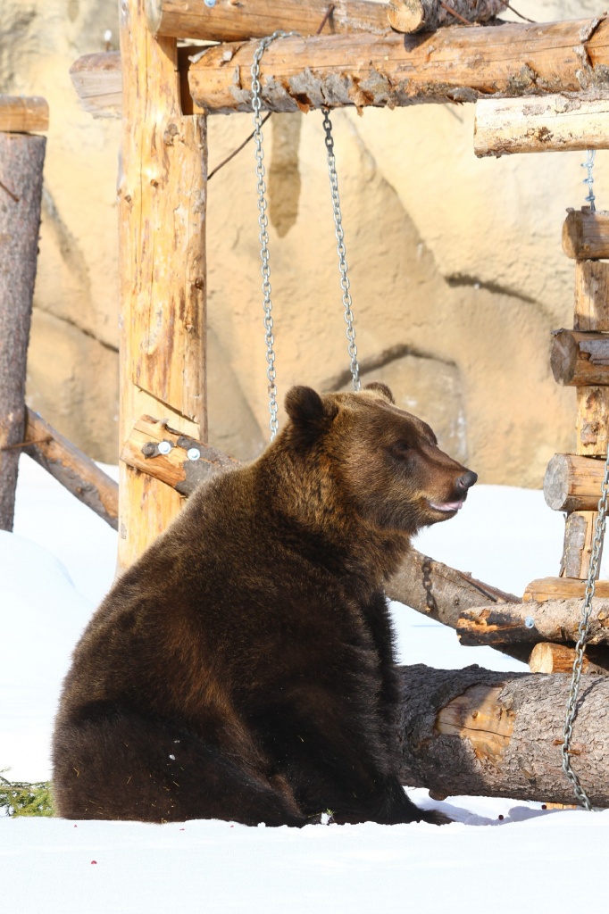 ������� ��������CAMC6068.jpg